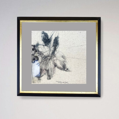 Discontinuidades