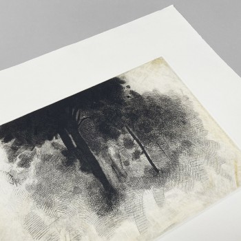 Árboles en el aire II 2