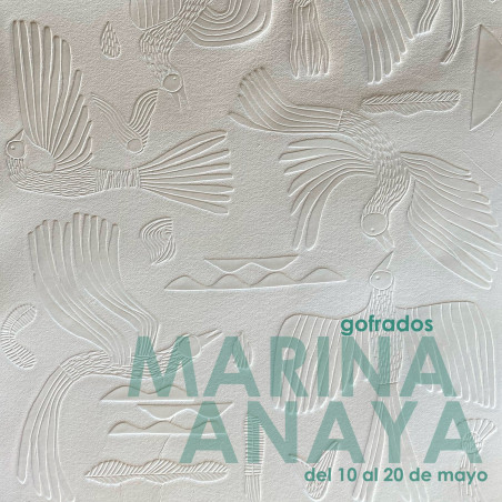 Exposición | Susana Peses