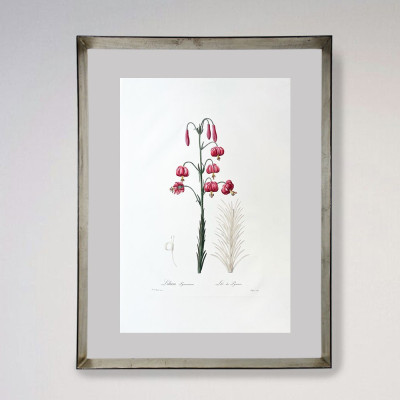 Fotograbado floral | Tienda de obra gráfica en Madrid | Galería