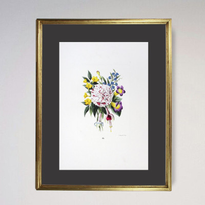 Flores