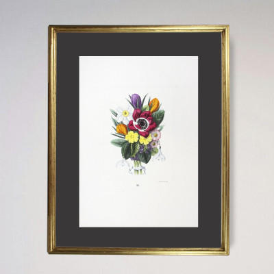 Flores