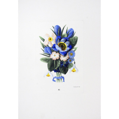 Flores