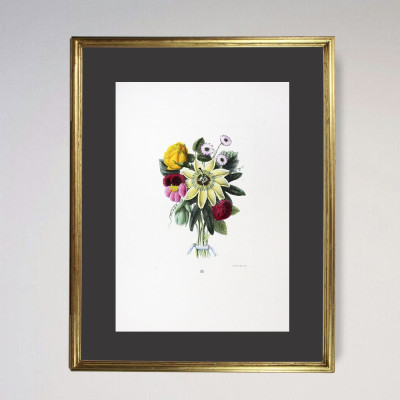 Flores