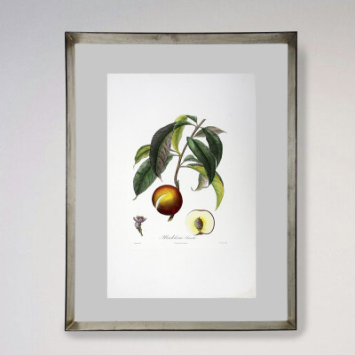 Frutas