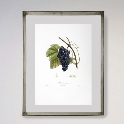 Frutas