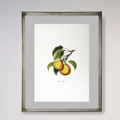 Frutales