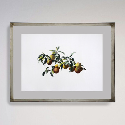 Frutales