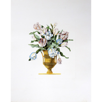 Flores