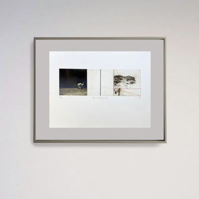 Bloom Blossom II | Javier Roz | Galería de arte Madrid