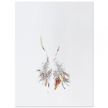 Serie formas de vida