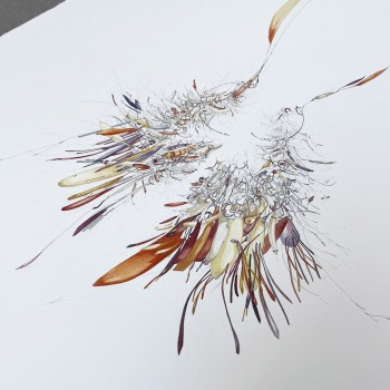 Serie formas de vida 2