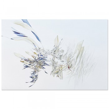 Serie formas de vida