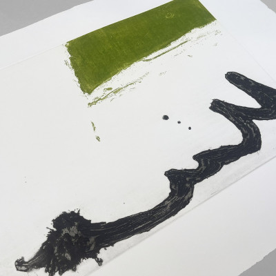 Grabado con tnalidades verder | Rafael Canales | Galería de arte