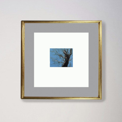 Arboles II | Olvido Castillo | Grabado |  Galería A Cuadros Madrid