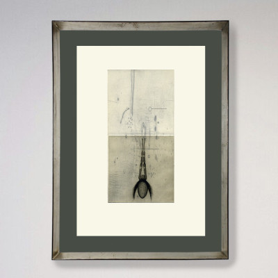 Insecto raro | Paco Aguilar | Grabado |  Galería A Cuadros Madrid