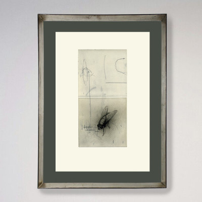 Insecto alado | Paco Aguilar | Grabado |  Galería A CuadrosMadrid