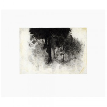 Árboles en el aire II