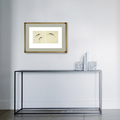 Calamari | Alessandro Nocentini | Grabado |  Galería Madrid