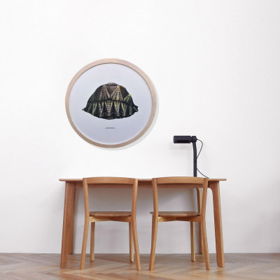 Geochelone radiata | Grabado de Jesús Brea | Tienda de arte en Madrid