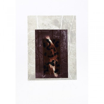 Espacios  vegetales III