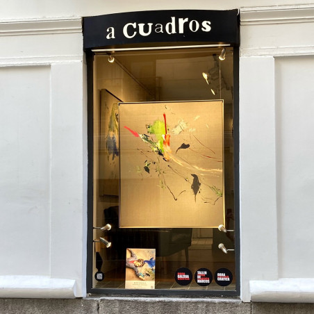 Belén Gonzalo Exhibition