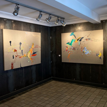 Belén Gonzalo Exhibition