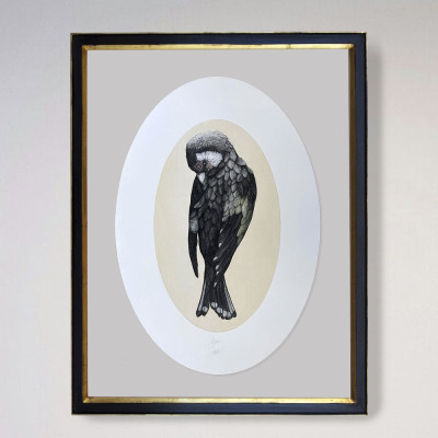 Carduelis Carduelis | Grabado de Jesús Brea | Obra gráfica | Arte