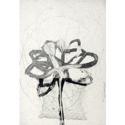 Discontinuidades III