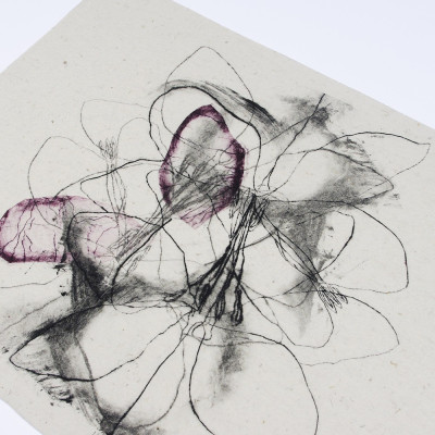 Discontinuidades IV