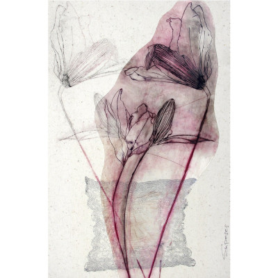 Discontinuidades V
