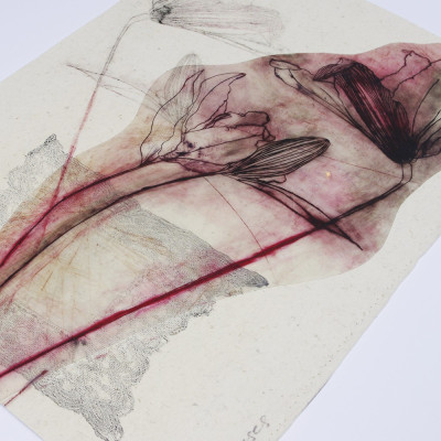 Discontinuidades V