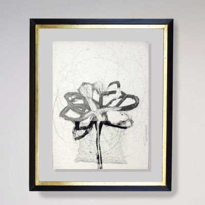 Discontinuidades III