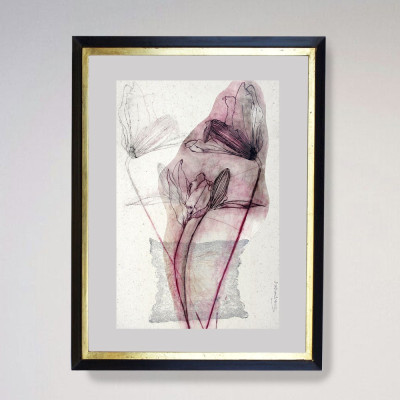 Discontinuidades V
