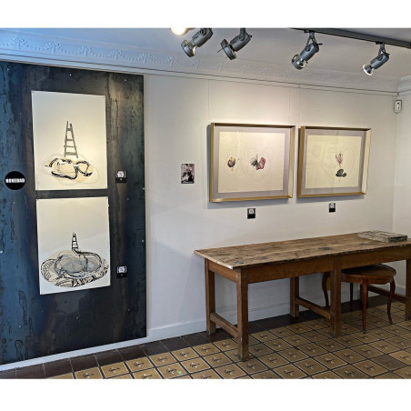 Exposición | Susana Peses