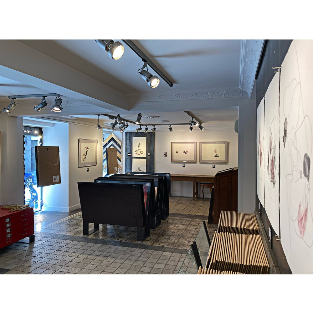 Exposición | Susana Peses