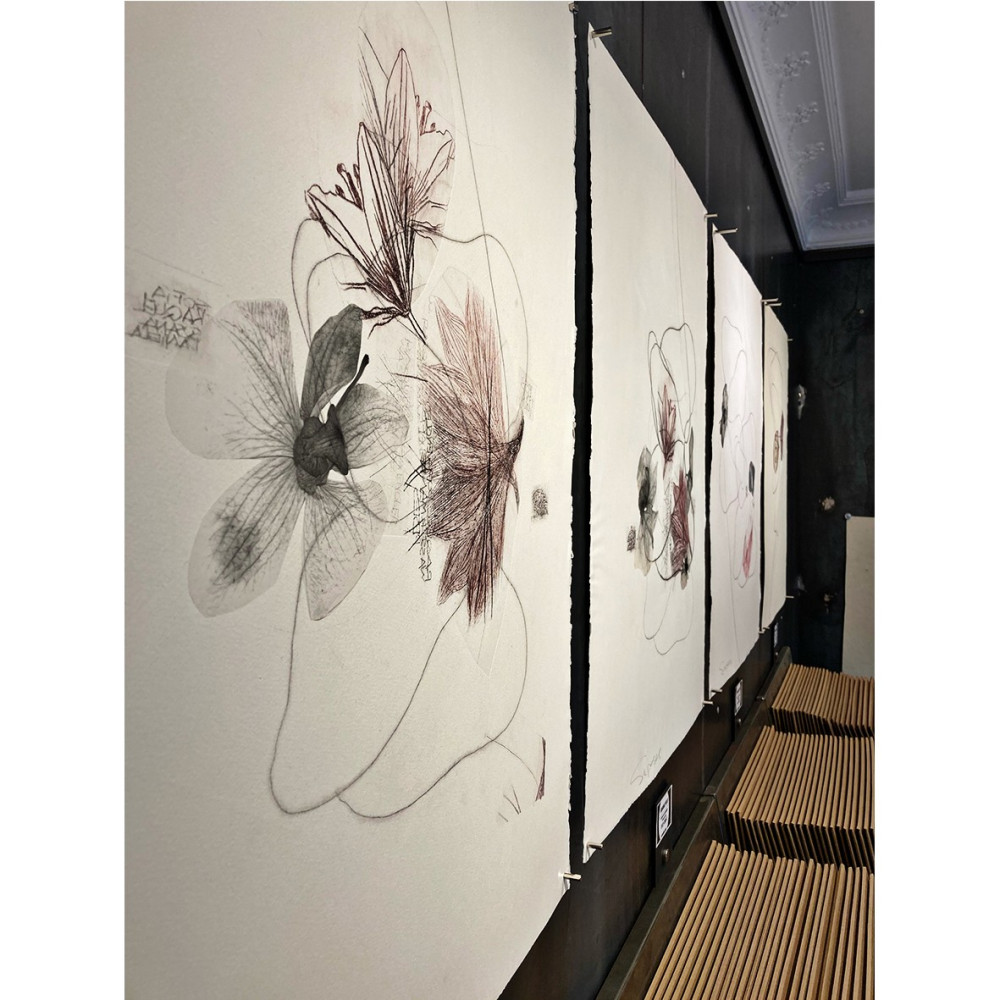 Exposición | Susana Peses