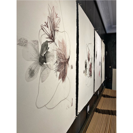 Exposición | Susana Peses