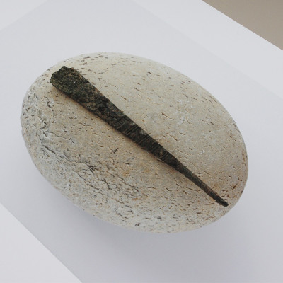 Tareco III | Alejandro Caporale, Obras | Fotografía |  Galería Madrid